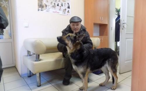 Предварительные итоги акции "Доброта объединяет сердца" Центра содержания животных