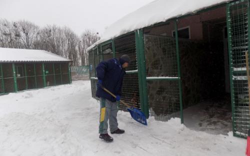 Репортаж. Утро в Приюте Центра обращения с животными