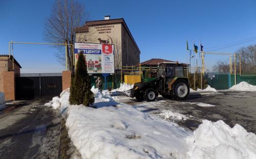 В Центре обращения с животными убирают снег и ждут весну. 