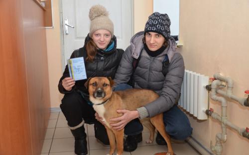 Ю. Шаповалова, директор КП "Центр обращения с животными" стала гостем газеты "Харьковские известия". 