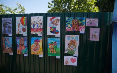 Самый масштабный в Украине пробег людей вместе с собаками