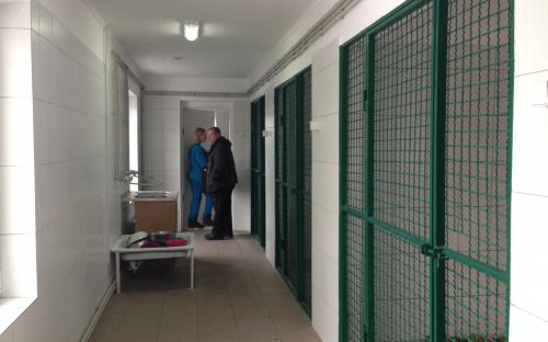 Харьковский приют для бездомных животных