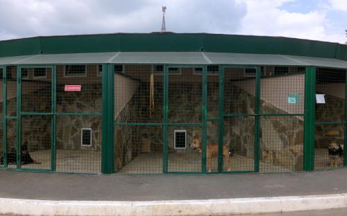 Харьковский приют для бездомных животных