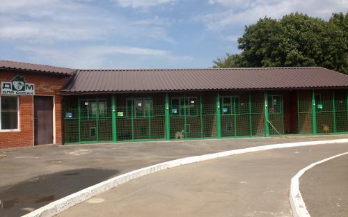 Харьковский приют для бездомных животных