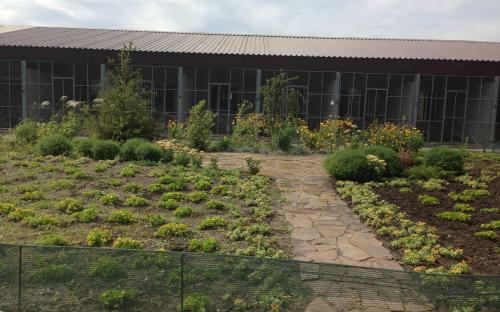 Харьковский приют для бездомных животных