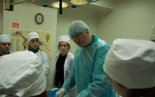 Первокурсники зооветакадемии в ветклинике Центра от теории переходят к практике