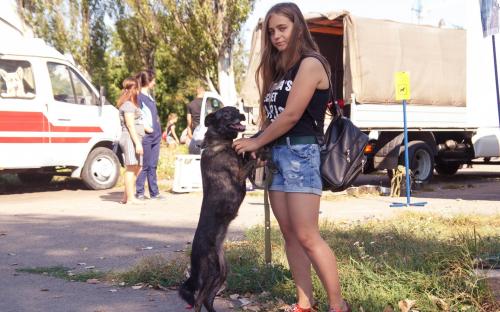 КП "Центр обращения с животными" благодарит всех, принявших участие в празднике, посвященному Всемирному дню бездомных животных!