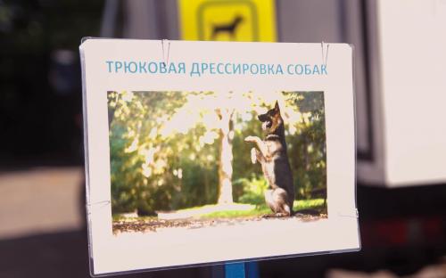 КП "Центр обращения с животными" благодарит всех, принявших участие в празднике, посвященному Всемирному дню бездомных животных!