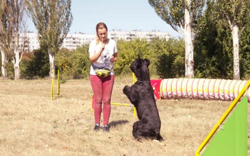 КП "Центр обращения с животными" благодарит всех, принявших участие в празднике, посвященному Всемирному дню бездомных животных!