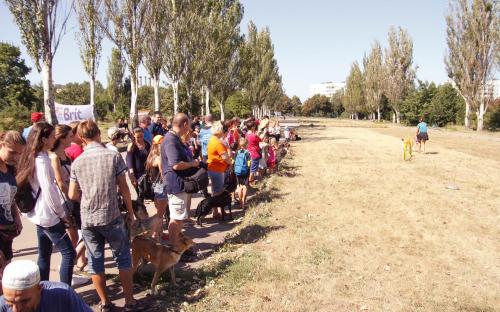 КП "Центр обращения с животными" благодарит всех, принявших участие в празднике, посвященному Всемирному дню бездомных животных!