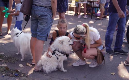 КП "Центр обращения с животными" благодарит всех, принявших участие в празднике, посвященному Всемирному дню бездомных животных!