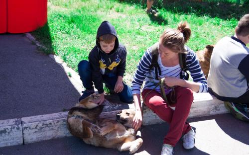 Самый масштабный в Украине пробег людей вместе с собаками