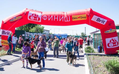 Самый масштабный в Украине пробег людей вместе с собаками