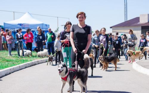 Самый масштабный в Украине пробег людей вместе с собаками