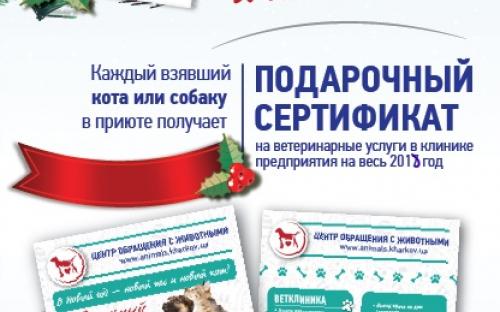 В Центре обращения с животными стартовала акция: "В Новый год - новый пес и новый кот"