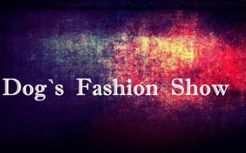 Центр обращения с животными приглашает всех на свое костюмированное шоу Dog`s Fashion Show 