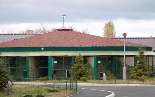 Харьковский приют для бездомных животных