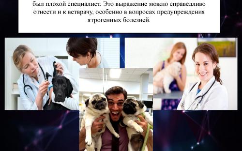 Ятрогения в ветеринарной медицине