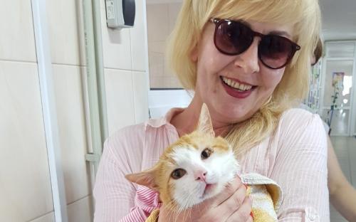 КП "Центр обращения с животными" проводит "банные дни" для приютских котиков