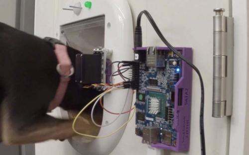 Microsoft создала «умную» дверь для домашних животных.