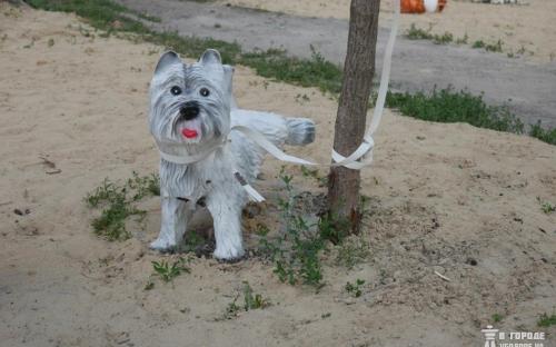 Скульптуры животных, дорожки-"лапы" и автоматы обмена пластика на корм: на ХТЗ появился pet-friendly двор