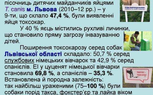 Токсокароз собак 