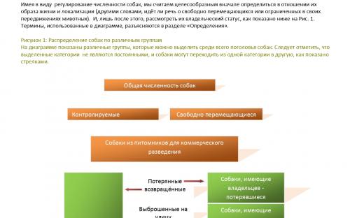Международная коалиция по регулированию численности животных - компаньонов человека ICAM Руководство по гуманному регулированию численности собак 