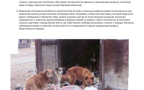 Международная коалиция по регулированию численности животных - компаньонов человека ICAM Руководство по гуманному регулированию численности собак 