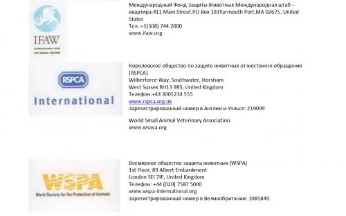 Международная коалиция по регулированию численности животных - компаньонов человека ICAM Руководство по гуманному регулированию численности собак 