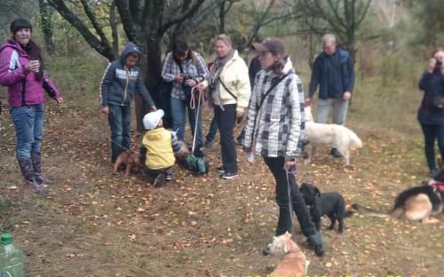В поселке Жуковского прошел праздник  "Happy Dog"