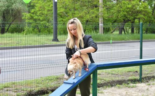 На Салтовке открыта 39-я площадка для выгула и дрессировки собак в городе Харькове
