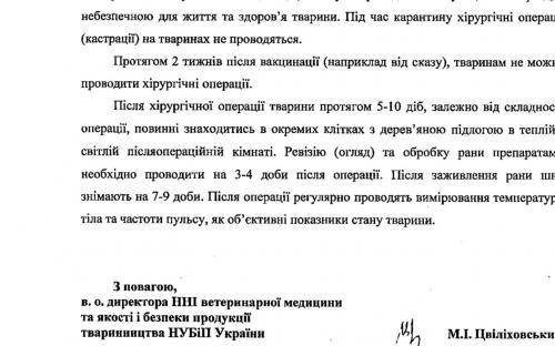 Сроки проведения ветеринарных процедур для бездомных собак