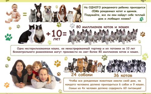 Печатная продукция для посещения школ в рамках проекта "Уроки доброты"