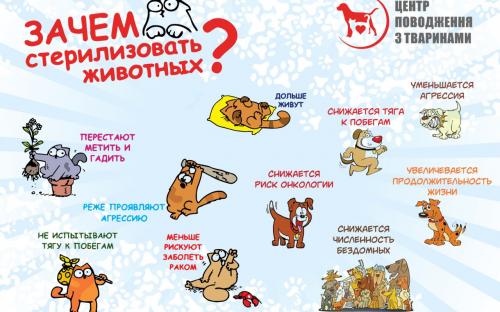 Печатная продукция для посещения школ в рамках проекта "Уроки доброты"
