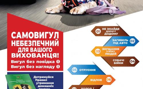 Печатная продукция для посещения школ в рамках проекта "Уроки доброты"