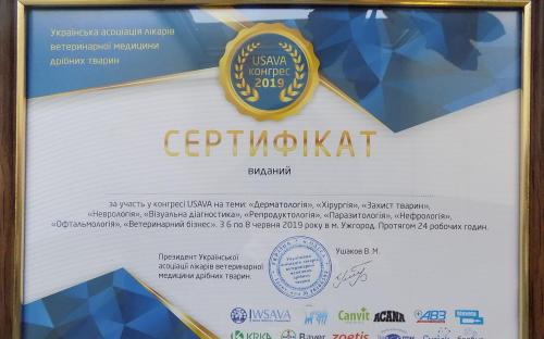 КП «Центр обращения с животными» стало официальным членом Украинской ассоциации врачей ветеринарной медицины мелких животных (USAVA)