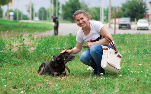 Каждое воскресенье Приют для содержания бездомных животных ждет всех желающих!
