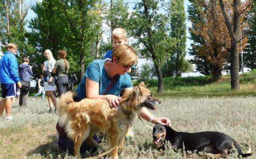 КП "Центр обращения с животными" посетило рекордное количество харьковчан