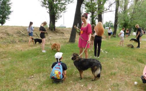 Каждое воскресенье Приют для содержания бездомных животных ждет всех желающих!