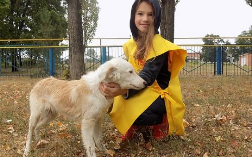 Каждое воскресенье Приют для содержания бездомных животных ждет всех желающих!