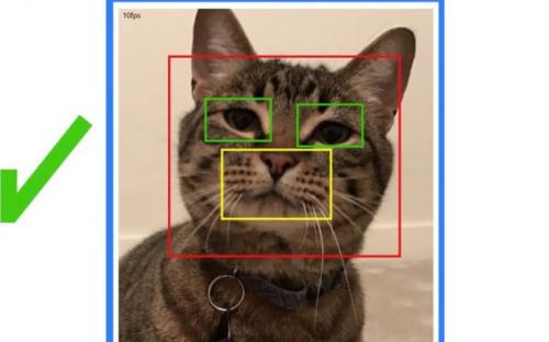 Microsoft создала «умную» дверь для домашних животных.