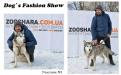 Костюмированный праздник для собак Dog`s Fashion Show