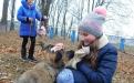 26 ноября в городском приюте для животных прошел традиционный воскресный День открытых дверей