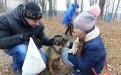 26 ноября в городском приюте для животных прошел традиционный воскресный День открытых дверей
