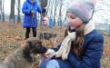26 ноября в городском приюте для животных прошел традиционный воскресный День открытых дверей