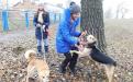 26 ноября в городском приюте для животных прошел традиционный воскресный День открытых дверей
