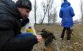 26 ноября в городском приюте для животных прошел традиционный воскресный День открытых дверей