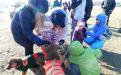 Приютские собаки нашли друзей на празднике  "Winter Dog Fest-2018"