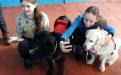 «Уроки доброты» от Центра обращения с животными