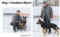 Костюмированный праздник для собак Dog`s Fashion Show